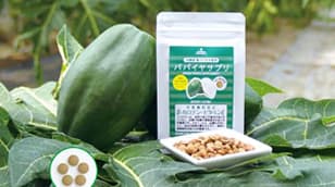 青木瓜维生素